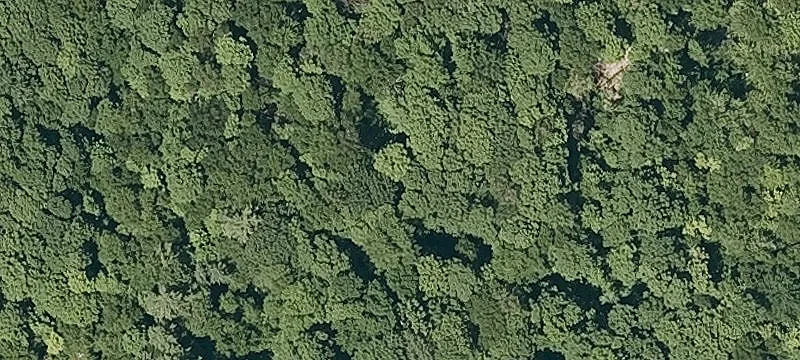 Hidden Spgs Rd