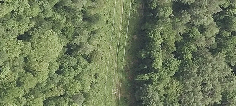 Symns Pond Rd