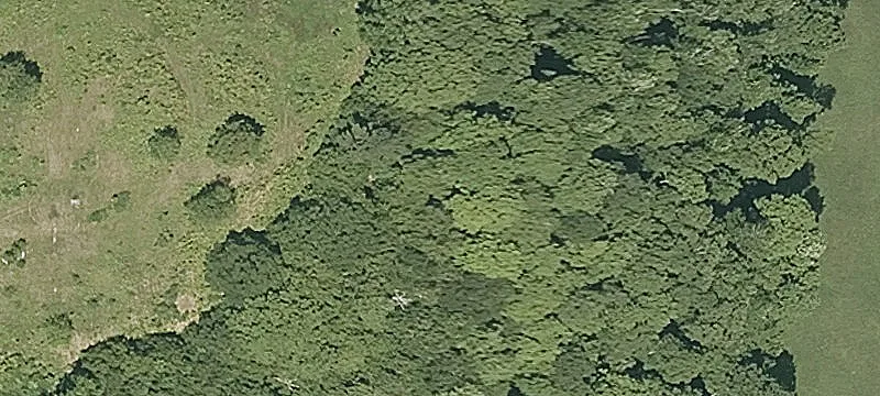 2975 Dairy Hl Rd