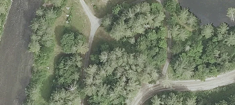509 Pierce Rd
