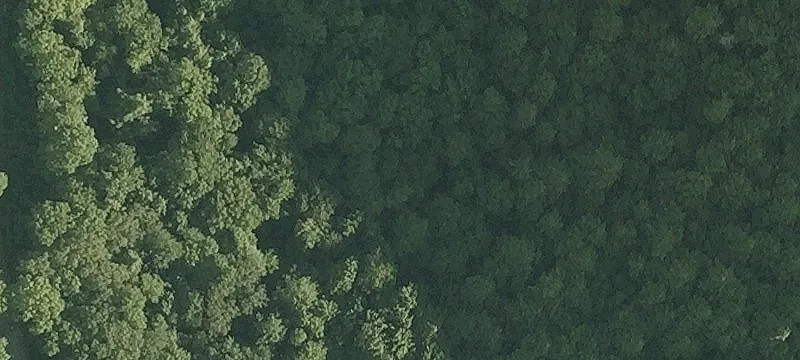 Bristol, VT 05443
