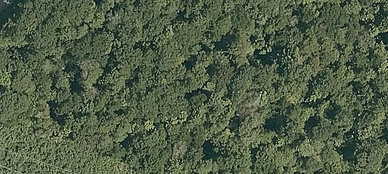 Winhall, VT 05340