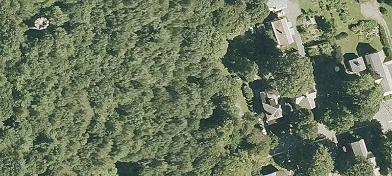 6 Chase St