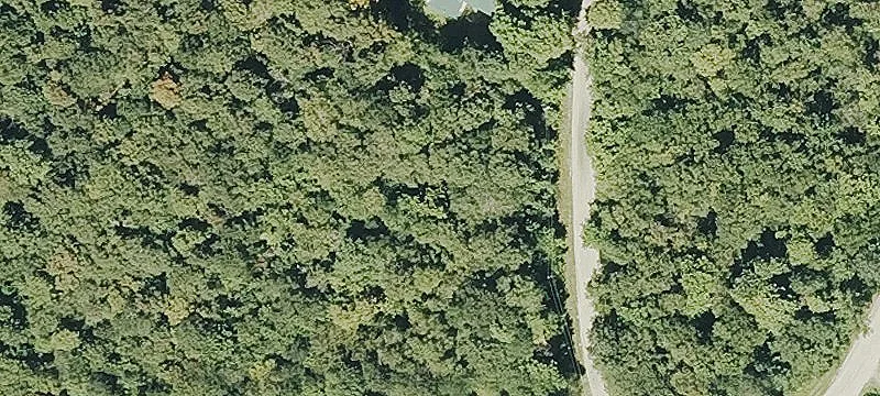 310 Chimney Hl Rd