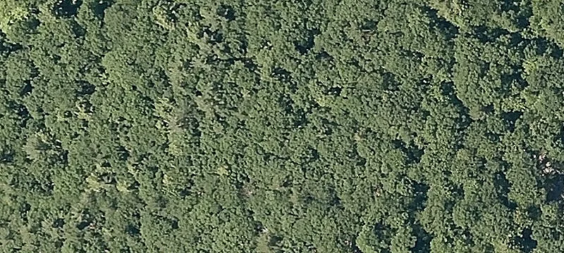 1631 Saw Ml Hl Rd