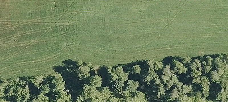214 Cross Rd