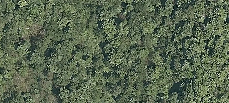 Birch Hl Rd