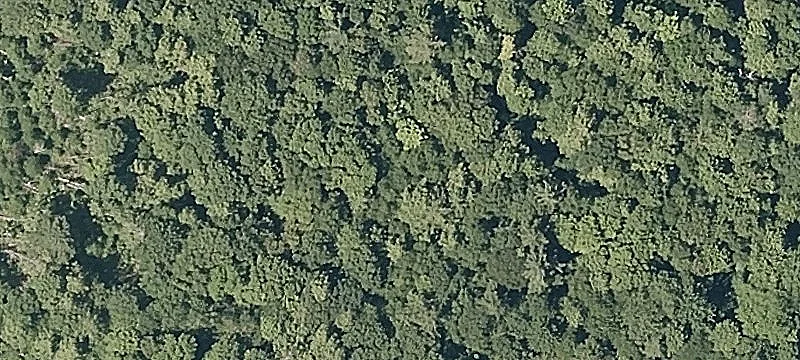 Highland Gray Rd