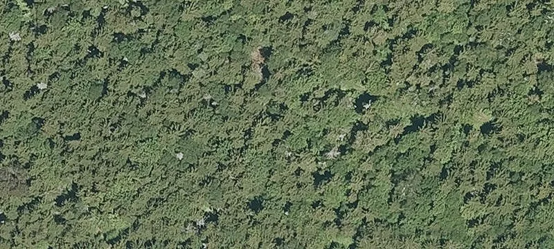 Fassett Hl Rd