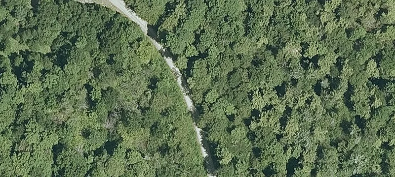 Forrester Rd