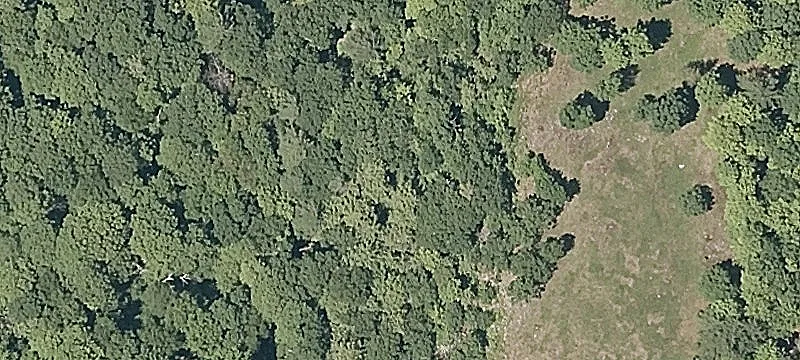 Highland Gray Rd