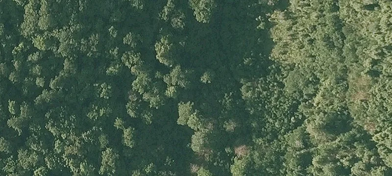 1005 M Roberts Mem Hwy