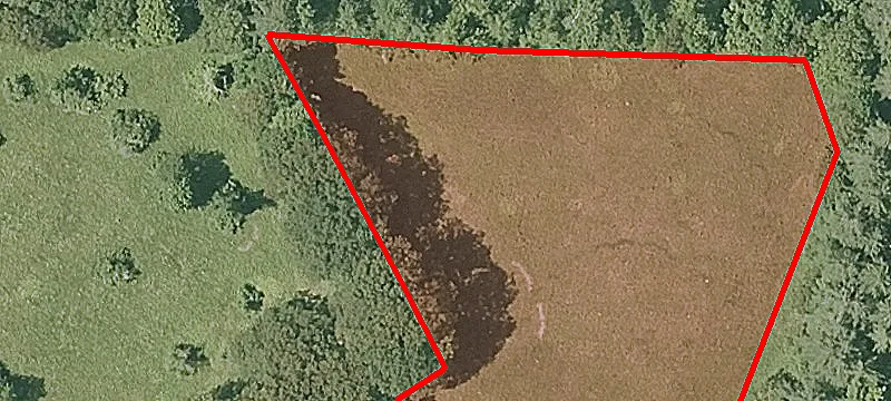 321 Rte 113