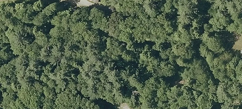 Benjamin Rd