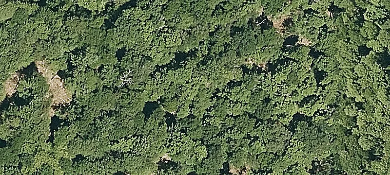 Popple Dungeon Rd