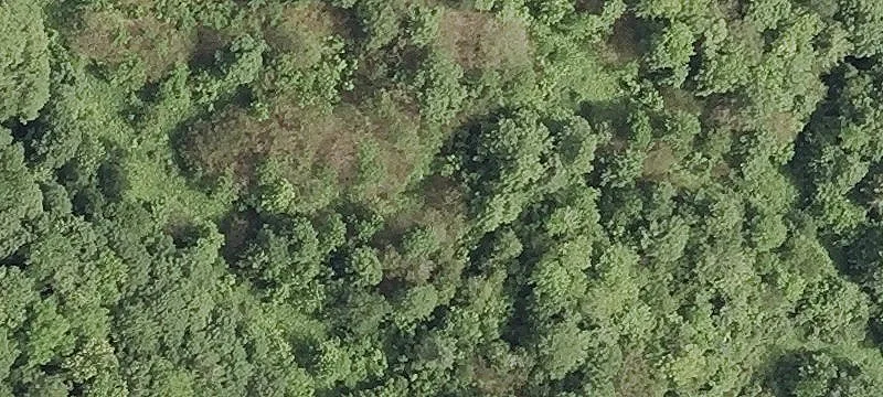 Rte 302