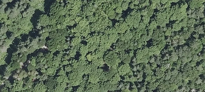 Twin Camps Rd