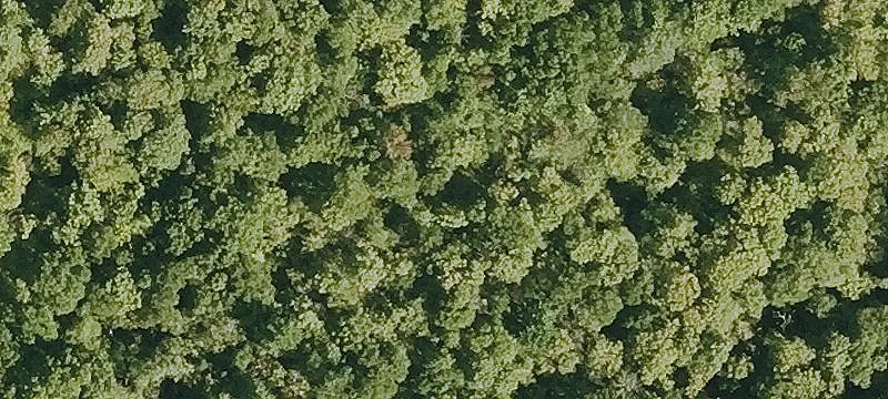 Vt Rte 109