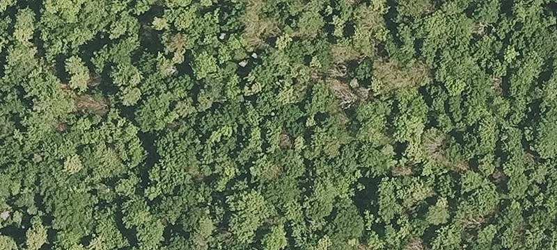 Ss County Rd