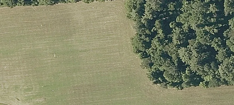 Brandon, VT 05733