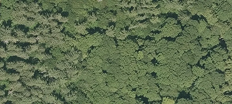 59 Goodwin Hl Rd