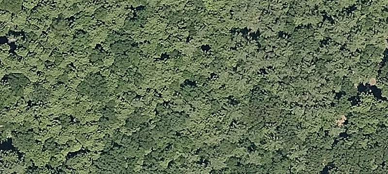 Ferncliff Rd