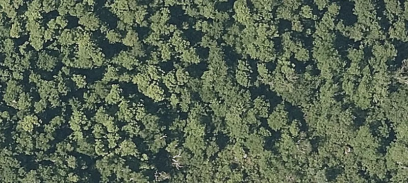 Birdseye Rd