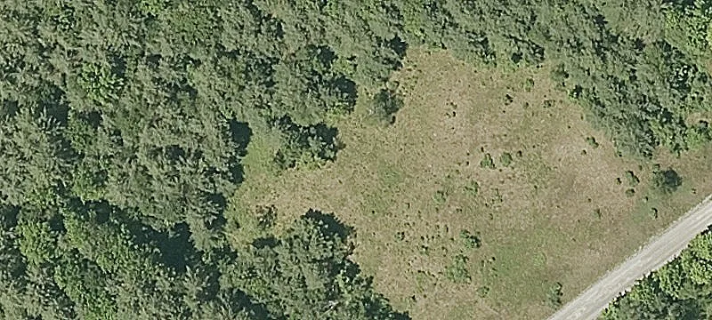 45 Button Hl Rd