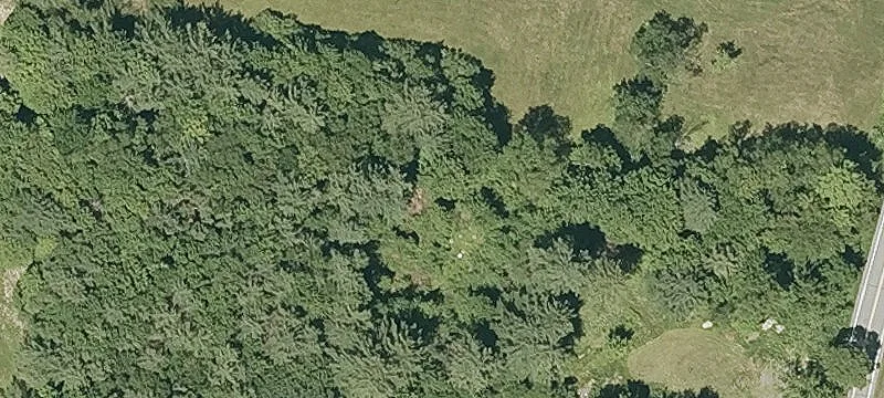 Bellows Fls Rd