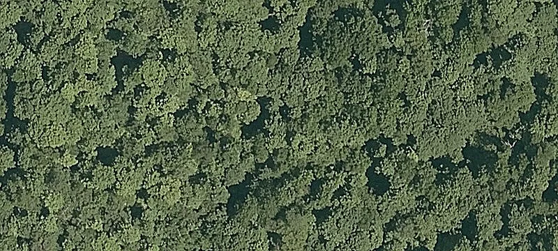 Birch Hl Rd