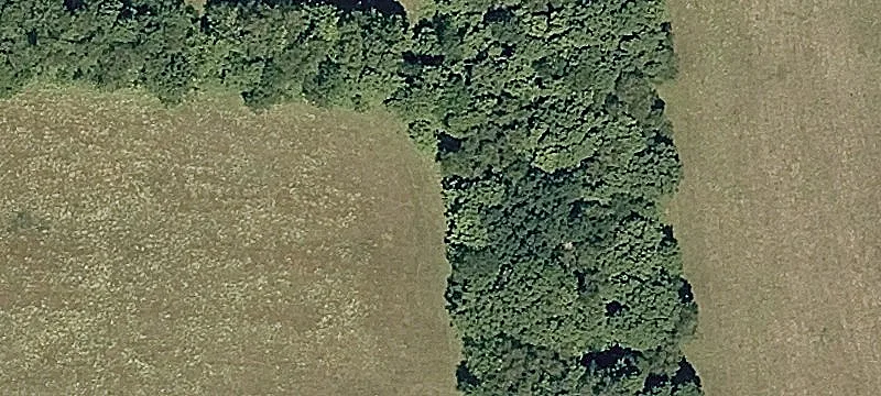 61 Mwa Loop
