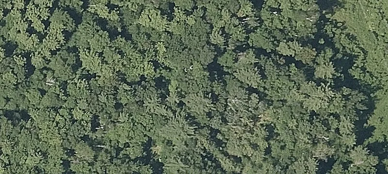 Cobb Hl Rd