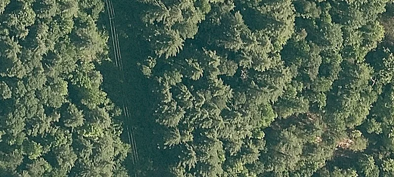 1551 Vt Rte 100th S