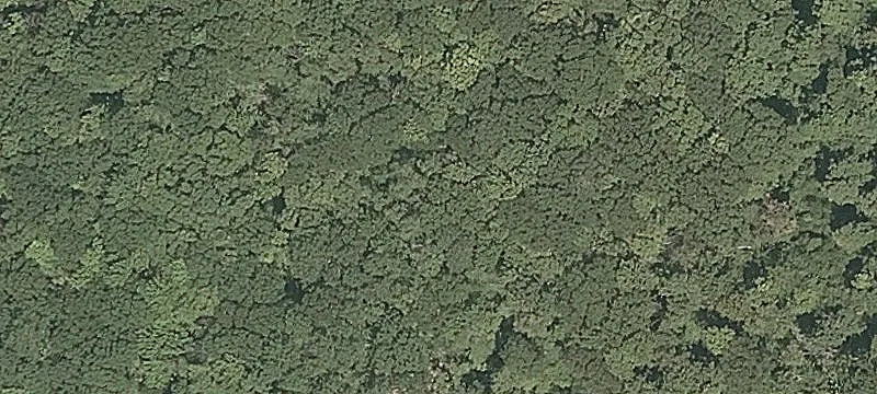 Slab Fence Rd