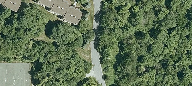 10 Arbor Rd