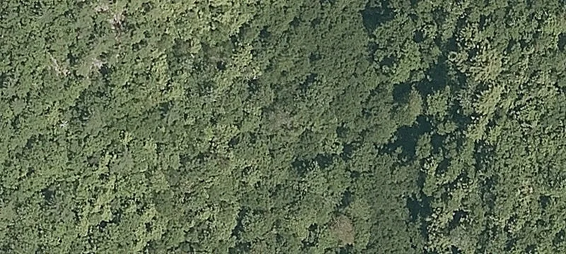 Birch Hl Rd