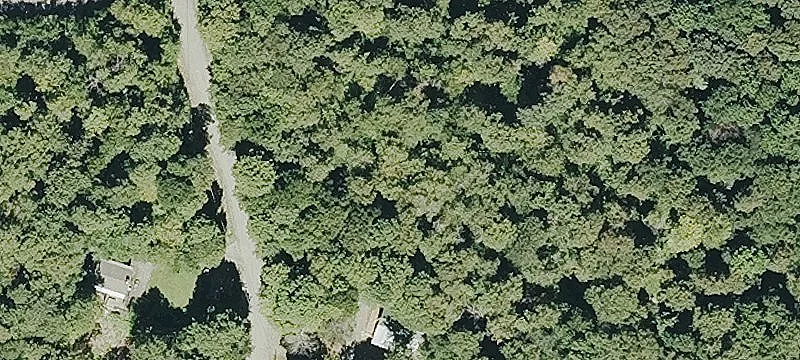 504 Chimney Hl Rd