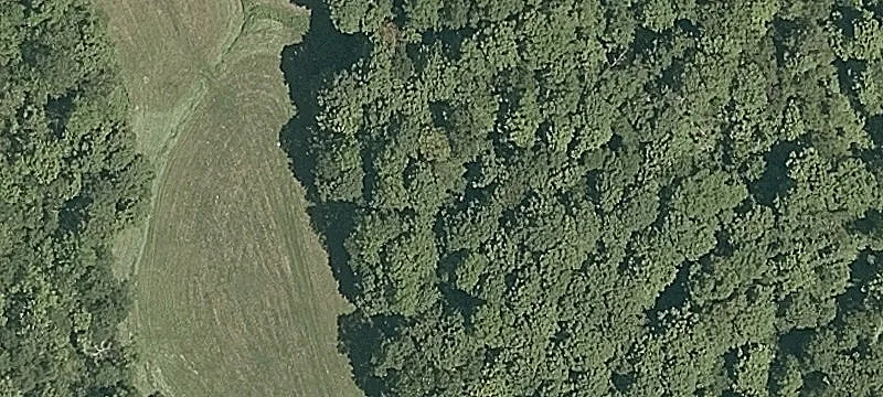 Birch Hl Rd