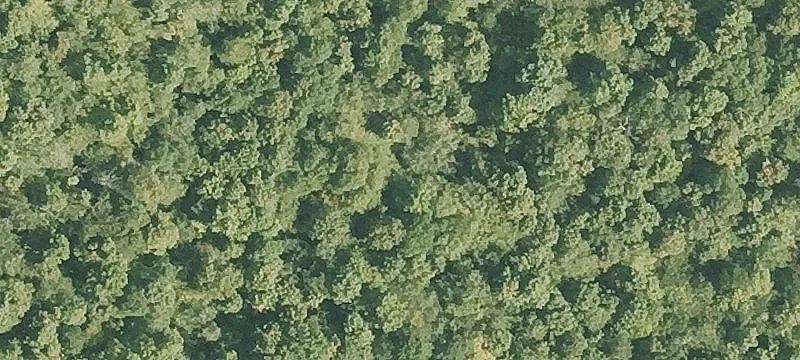 Vt Rte 9th 9