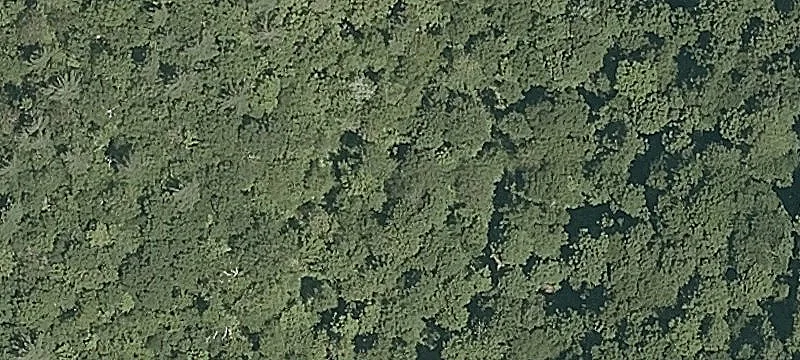 Birch Hl Rd