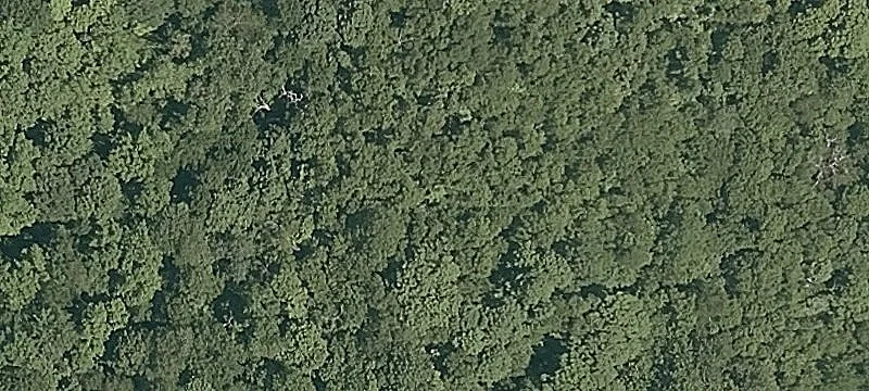Birch Hl Rd