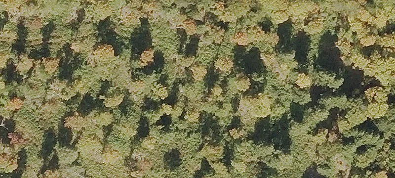 Breault Rd, VT 