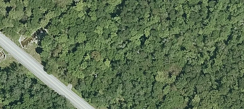 Mtn Rd