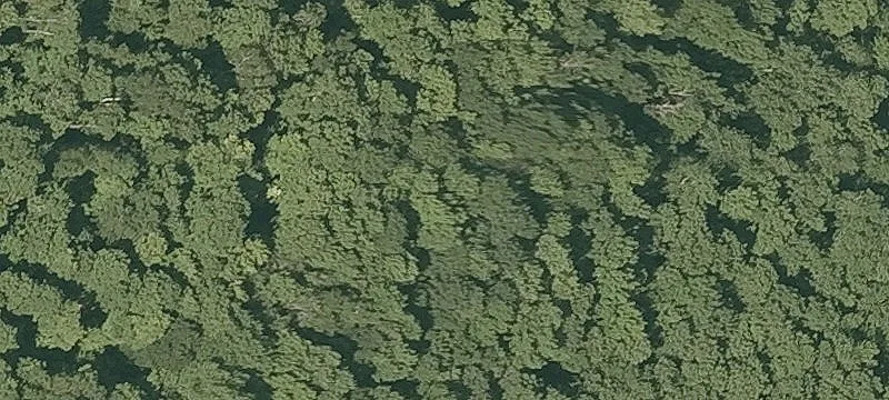 1355 Eagle Holw Rd