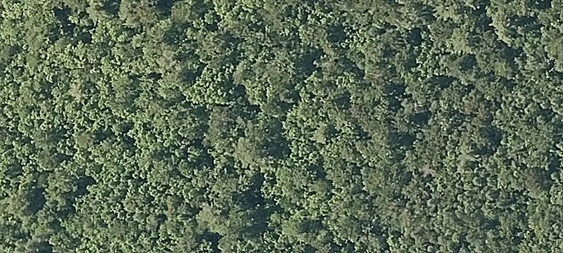 Long Swamp Rd