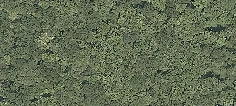 Slab Fence Rd