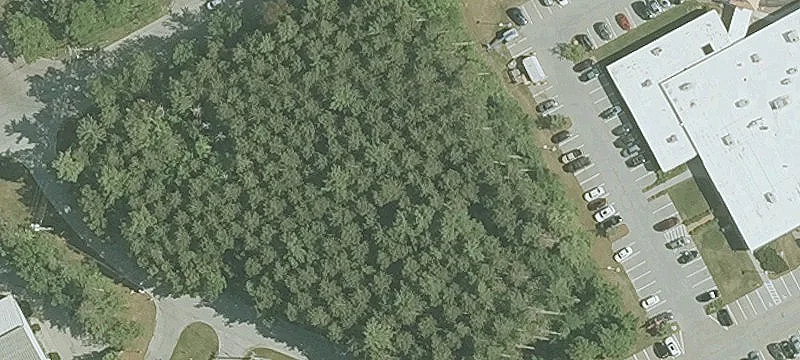 Industrial Ave