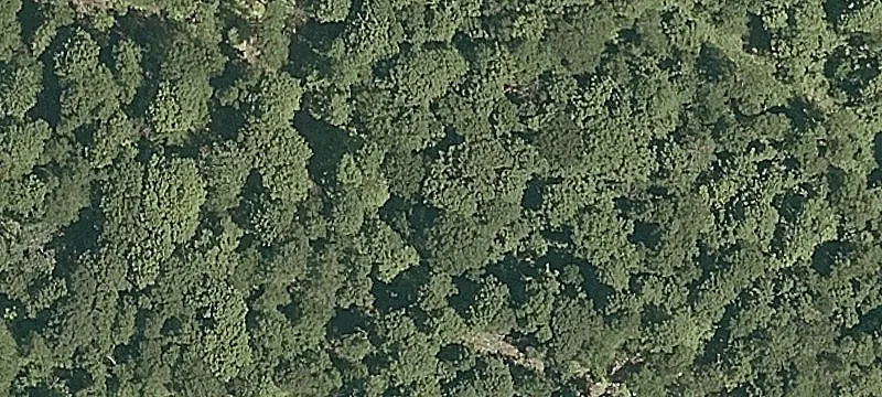 Birch Hl Rd