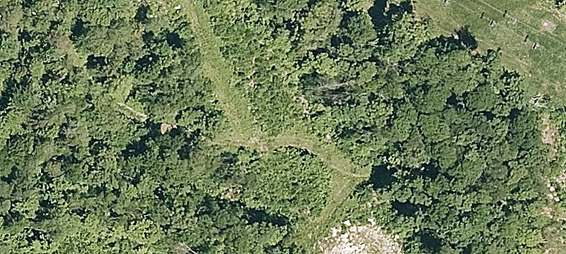 Trailside Rd