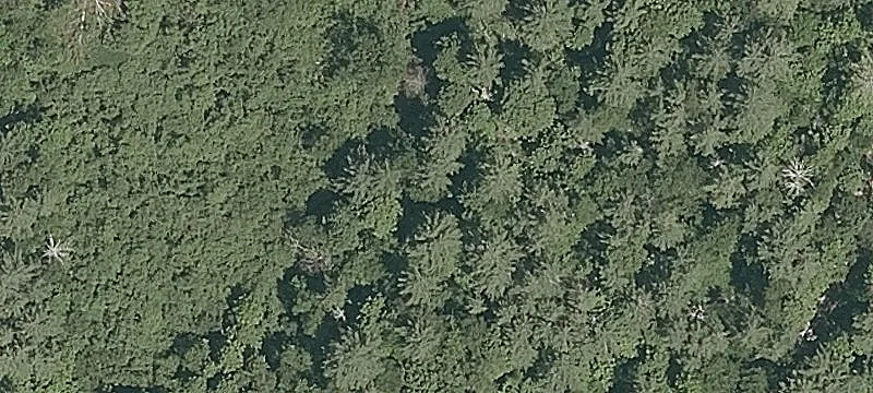 Birch Hl Rd